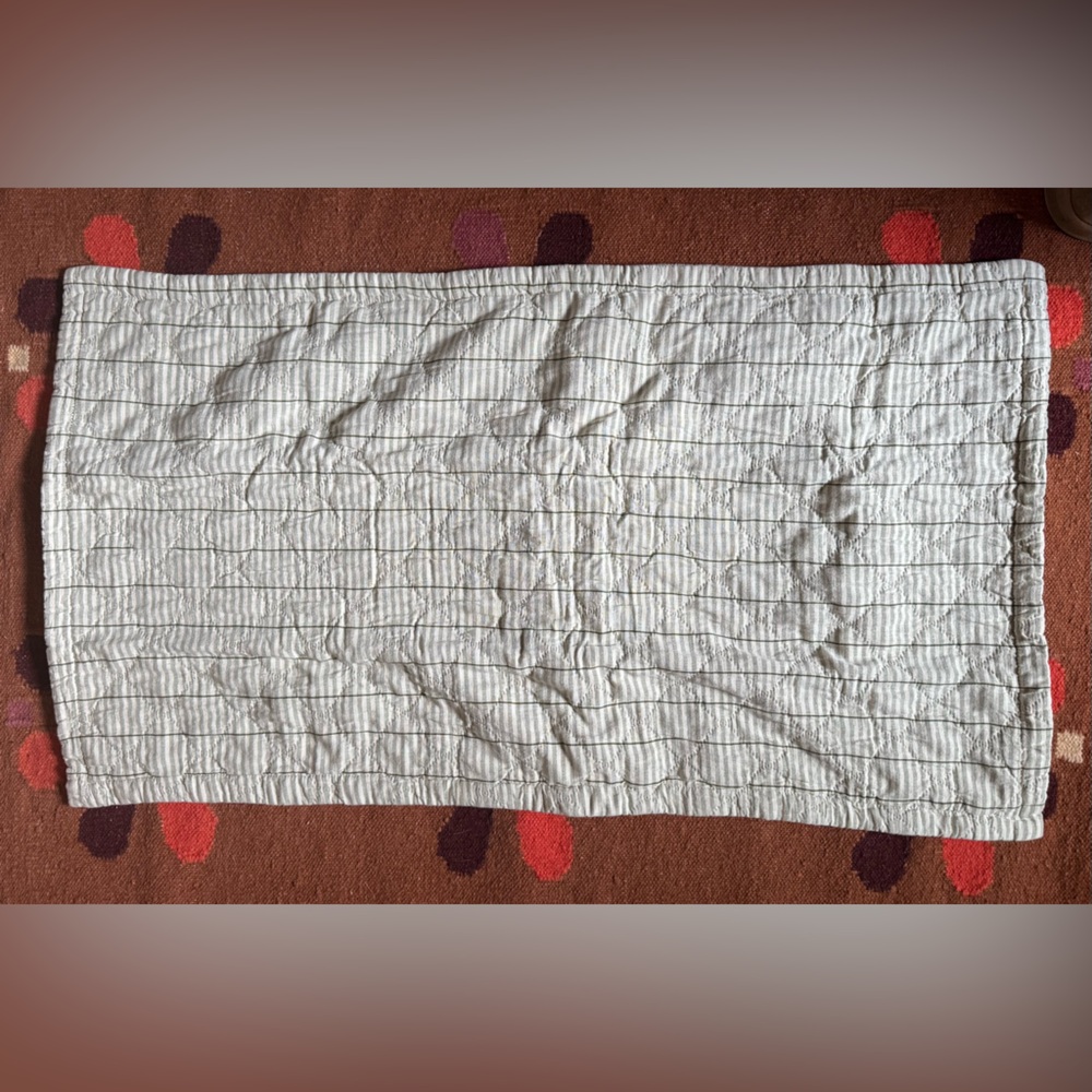 NWT Schoolhouse King Pillow Sham